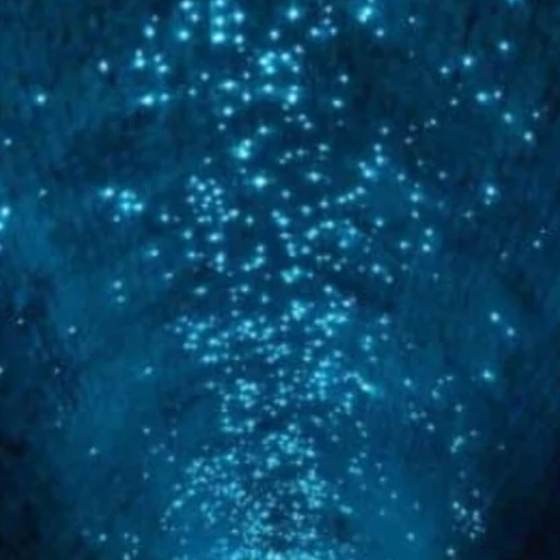 Glow Worms Burringbar Tunnel