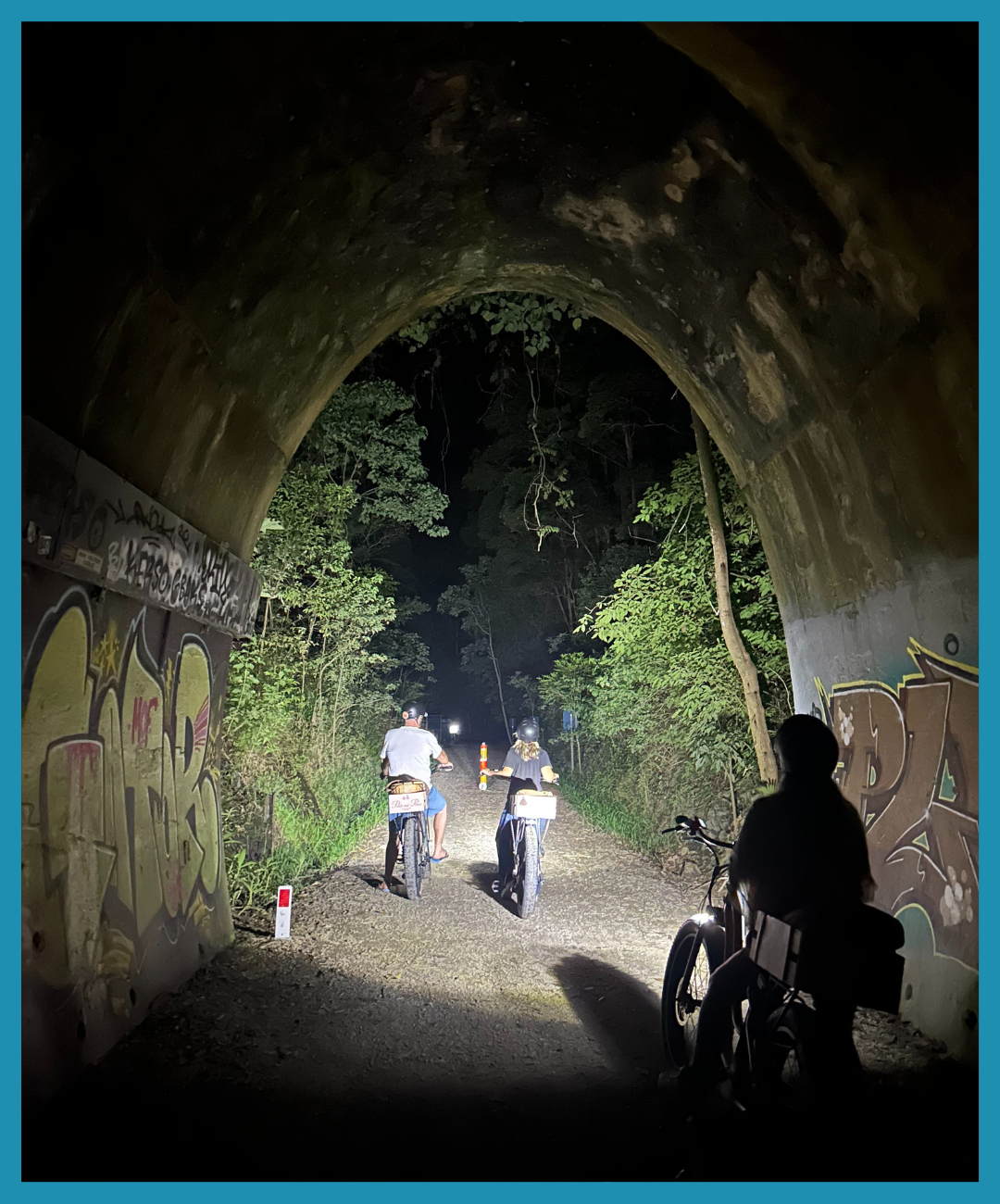 Night ride with glow worms