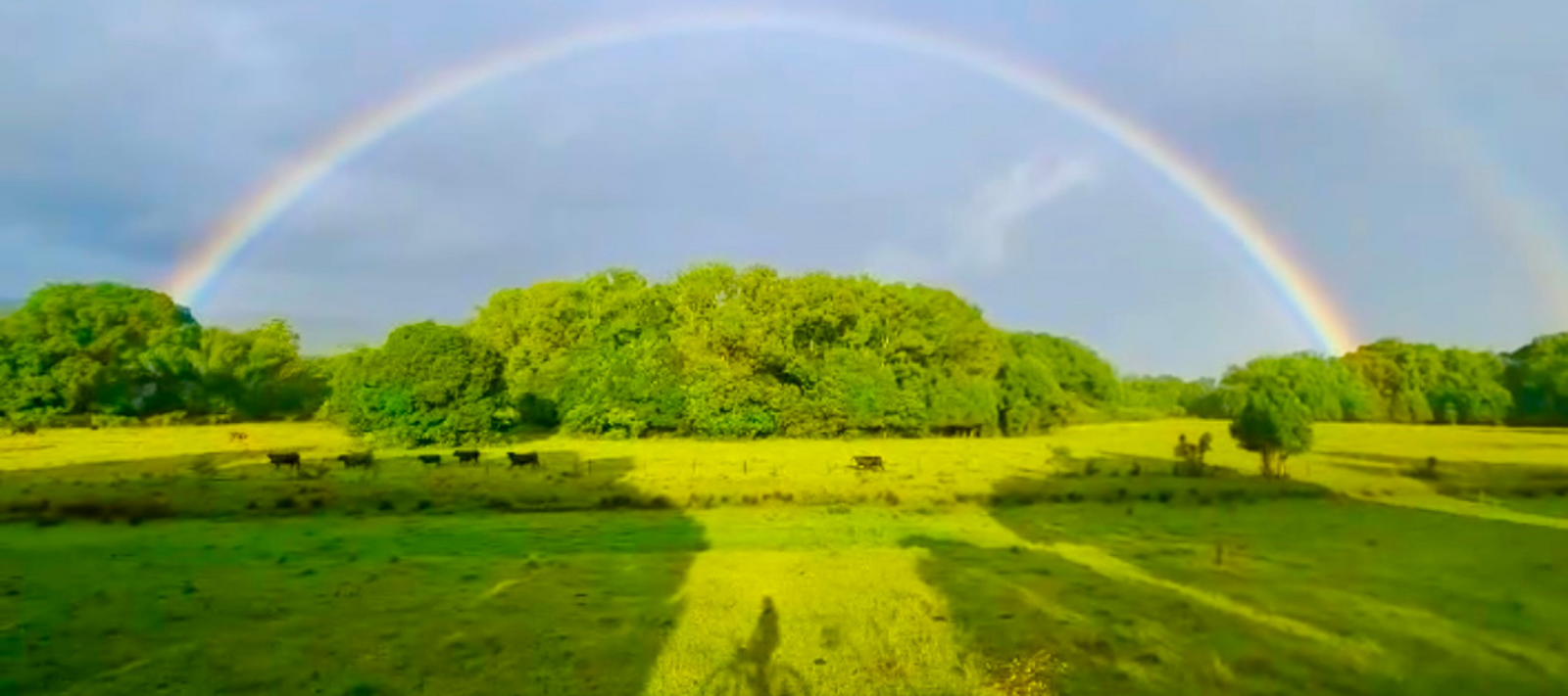 Northern Rivers Rail trail Frequently asked questions