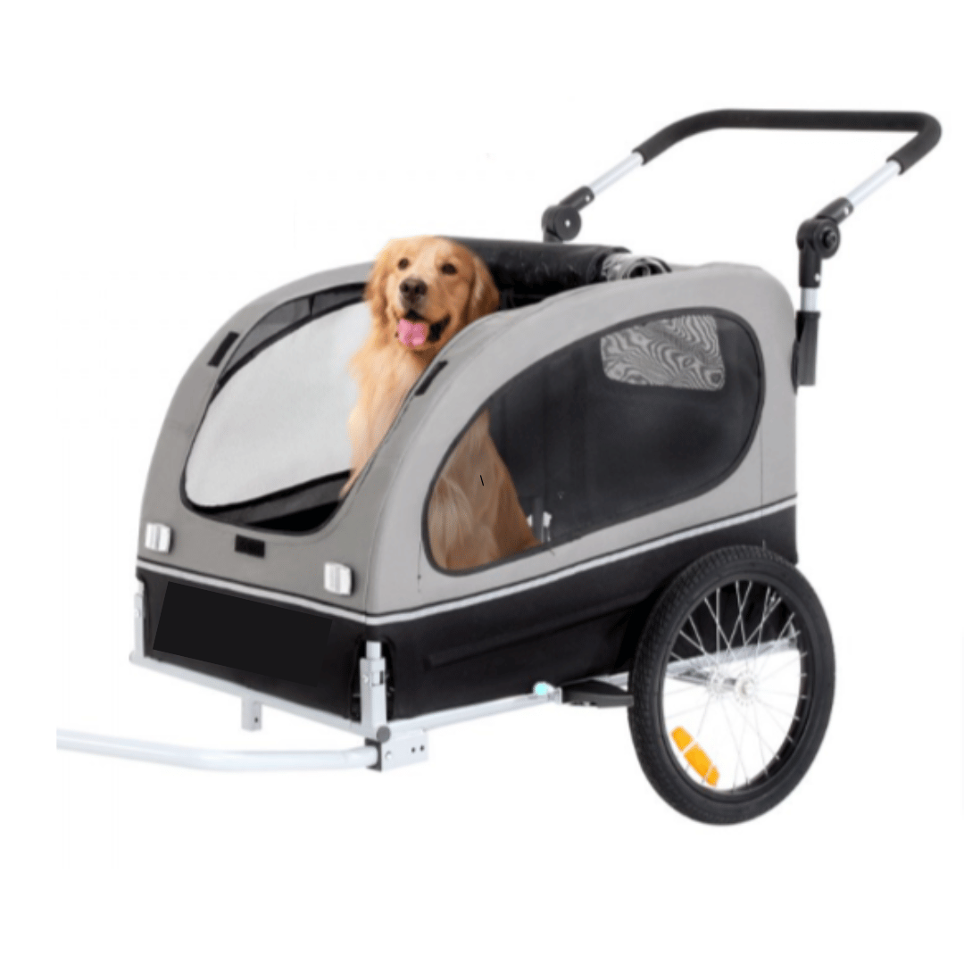 pet trailer bike hire Murwillumbah Northern Rivers Rail Trail