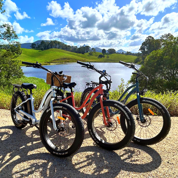 electric bikes on rail trails