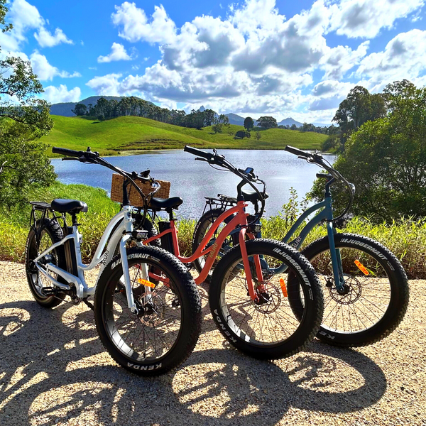 Bike Hire Electric Bikes On Rail Trails Premium Cruiser E-bike