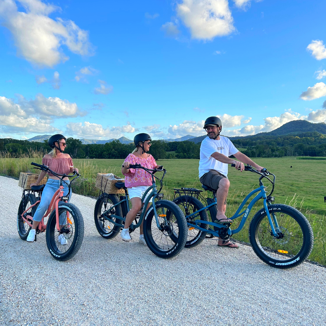 Rail Trail Ebike Hire Tweed Heads