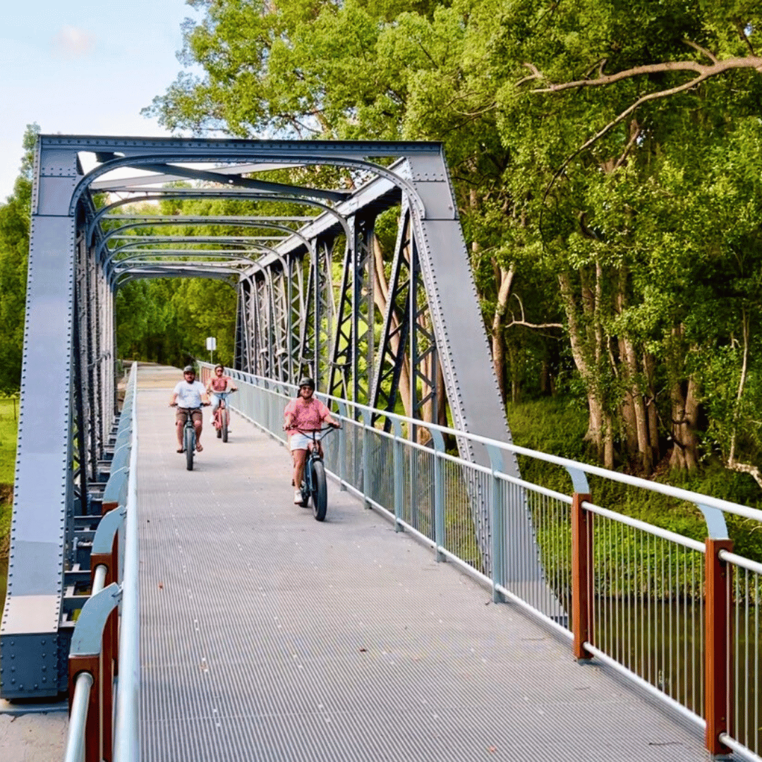 Northern Rivers Rail Trail Eclectic Bike hire 