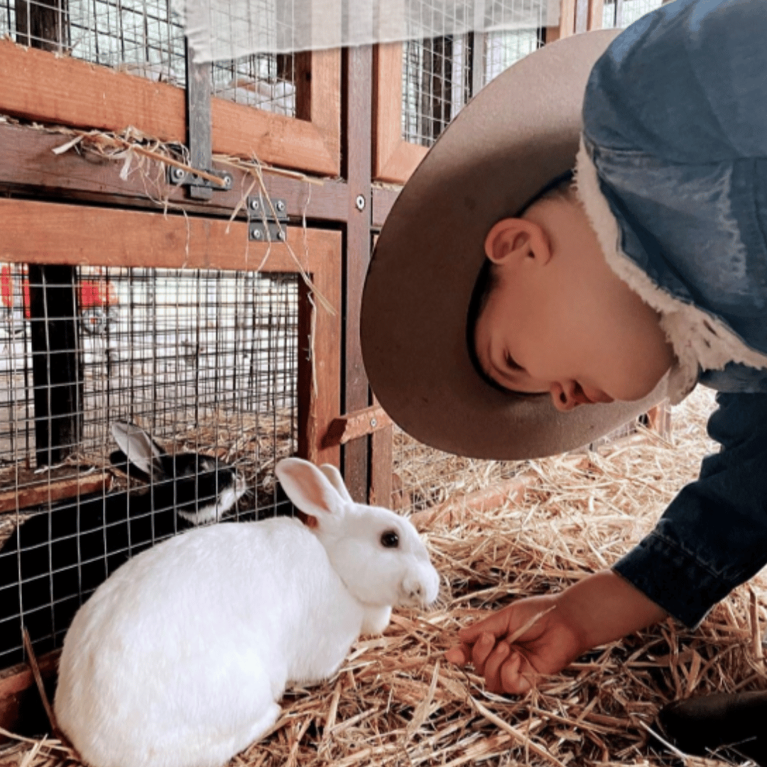 Bunny feeding norrthern rivers rail trail valley ebikes