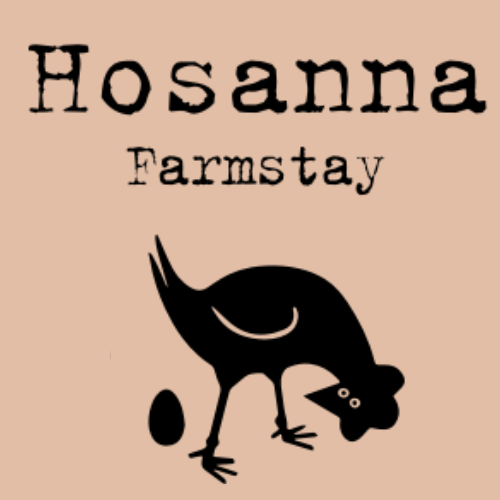 Where to Hire an E-Bike on Northern Rivers Rail Trail