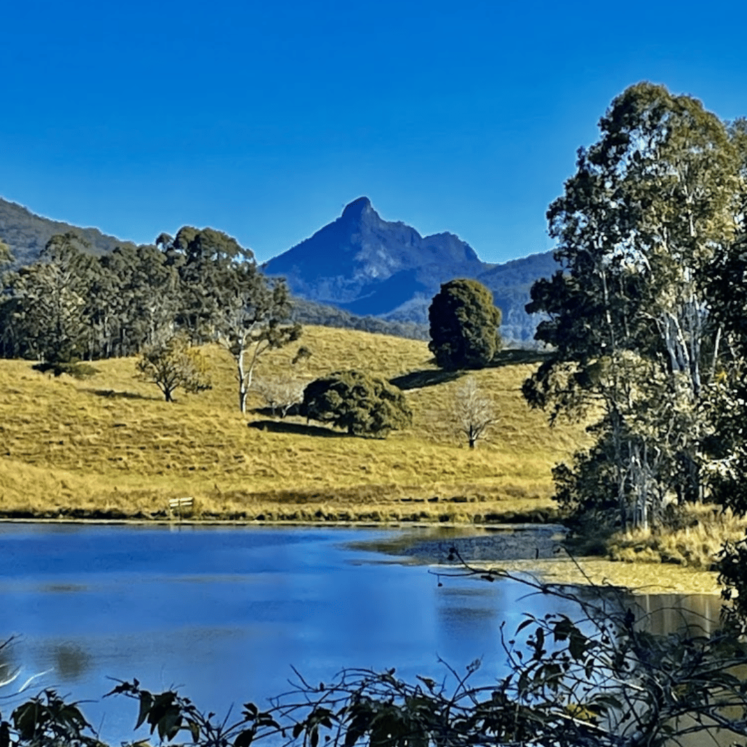 Mt Warning Northern Rivers Rail Trail