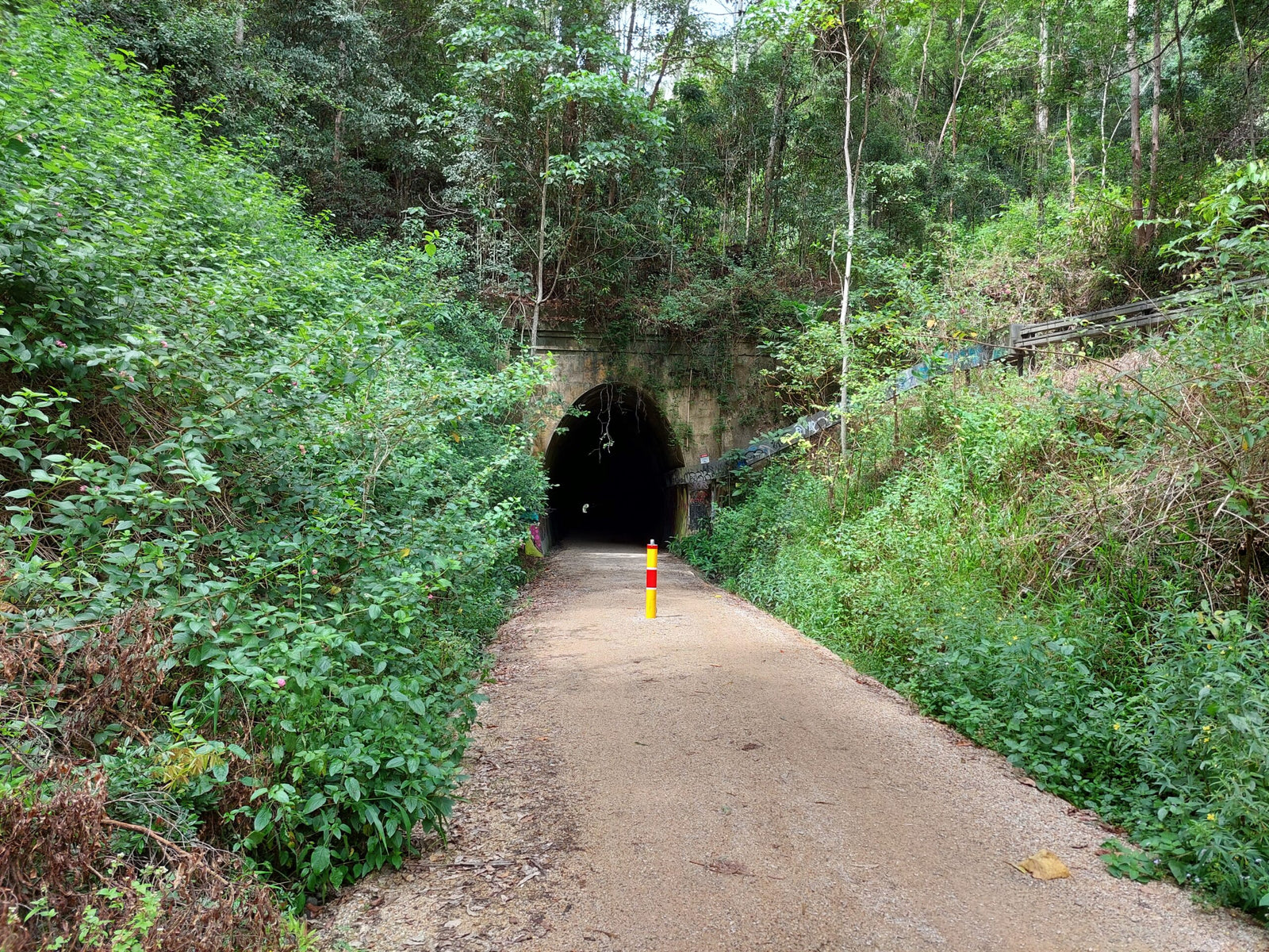 Murwillumbah rail trail bicycle hire
