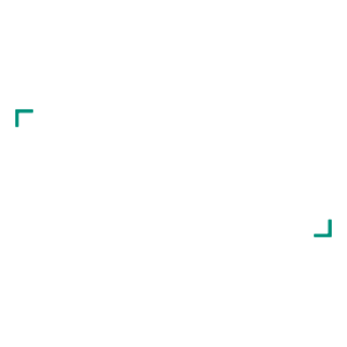 best Northern Rivers rail trail bike hire