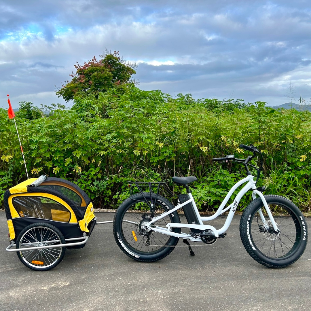 CHILD CARRIER BIKE HIRE MURWILLUMBAH