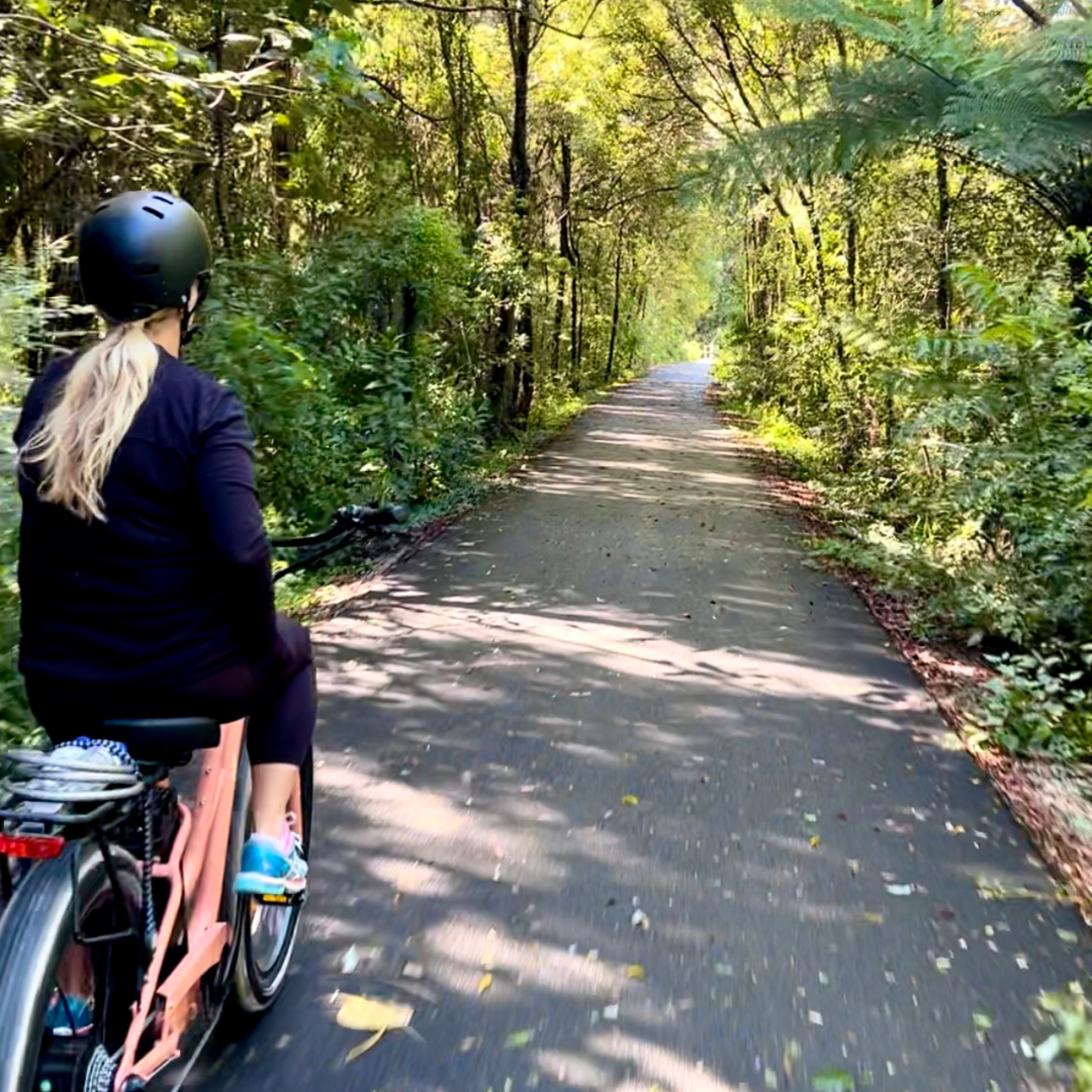 EBIKE HIRE MURWILLUMBAH