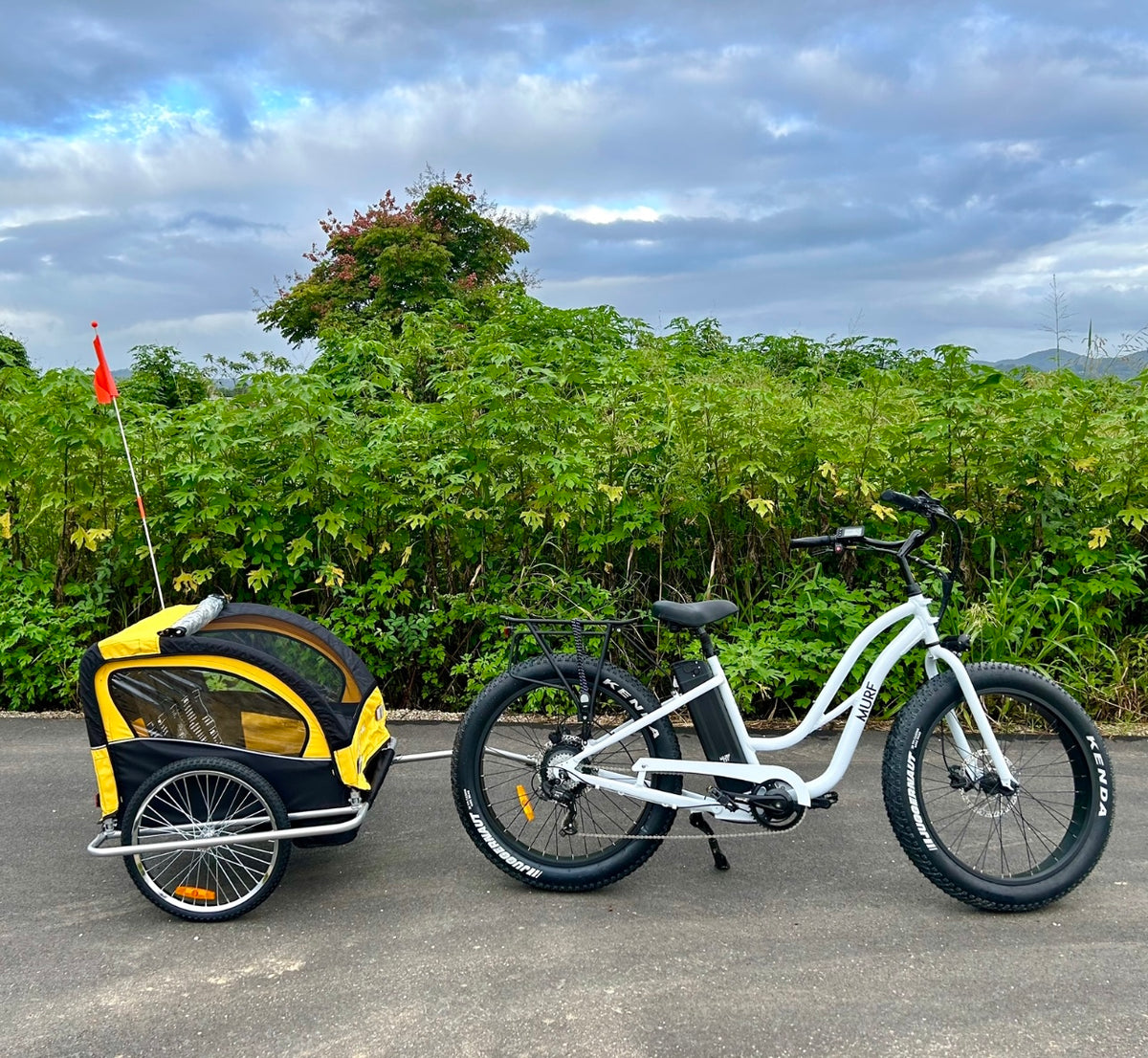 Northern Rivers Rail Trail Ebike Kids tailer seat